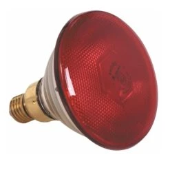 Pujadas Red Bulb For The Heat Lamp 250W 710205